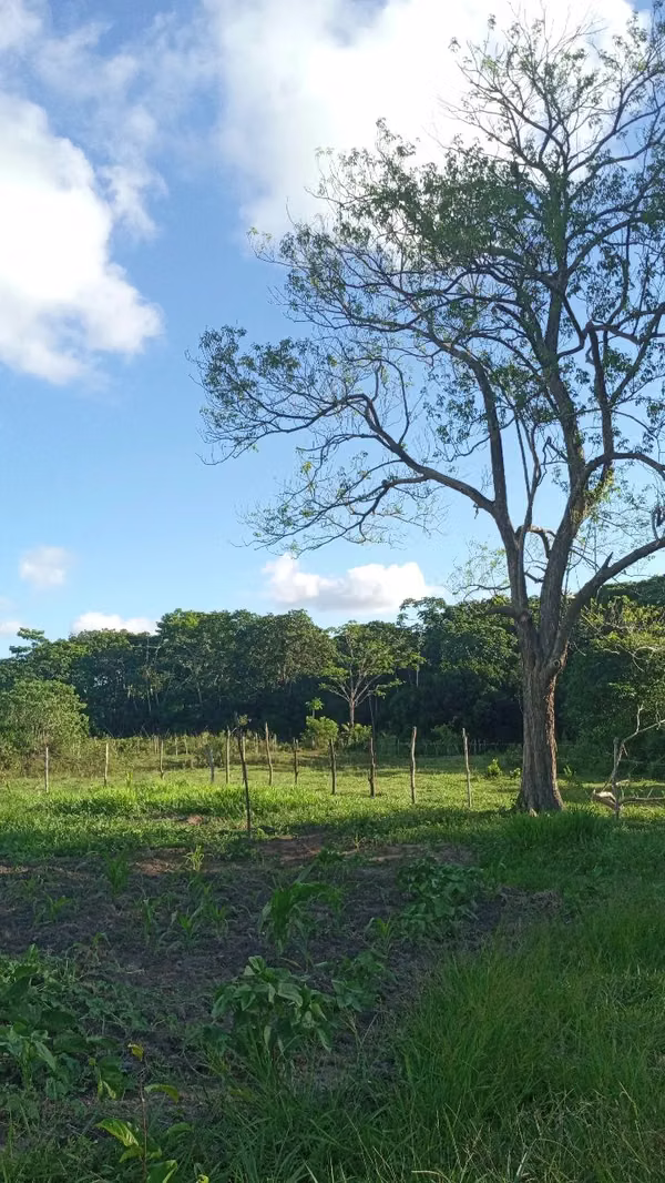 Land sale with wide front in Lourdes