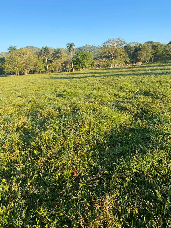 Land sale with wide front in Lourdes