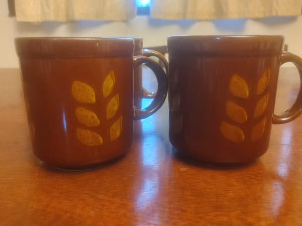 18 CUPS COFFEE COLOR - IDEAL FOR COFFEE OR BUSINESS
