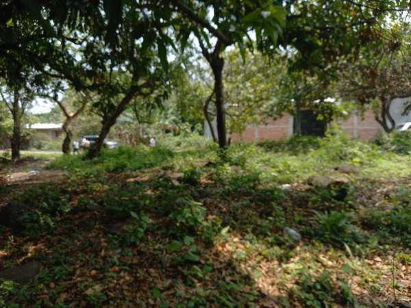 ÚLTIMOS 2 TERRENOS a 2 cuadras Iglesia El Calvario en  Zacate Desde 729 v  US$48,000US