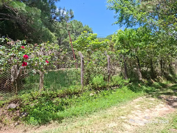 EXCLUSIVA OPORTUNIDAD DE INVERSION EN SAN IGNACIO/CHALATENANGO