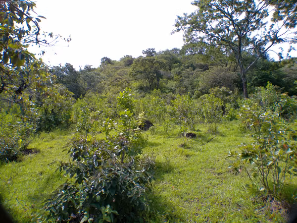 Rural land sale in La Paz, The Union