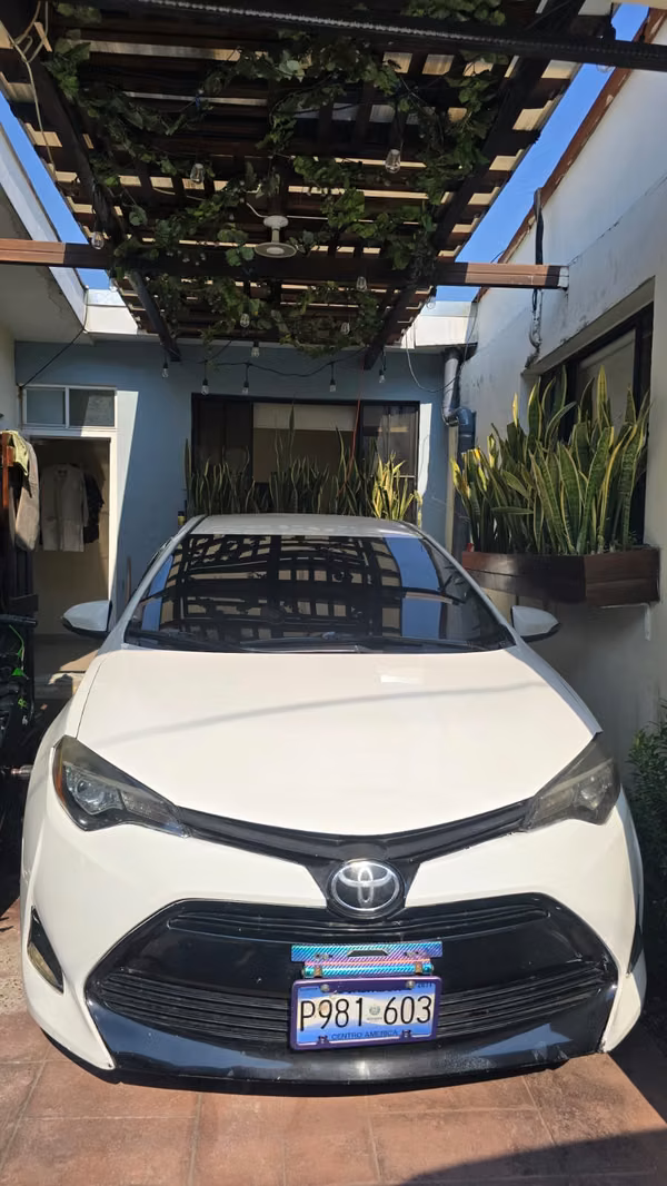 TOYOTA COROLLA LE 2019