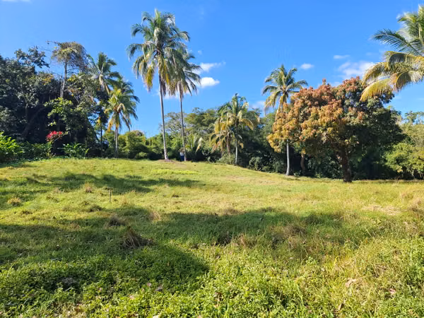 Terreno de 24,025 m² en Ahuachapán, cerca de LaGeo | Potencial turístico