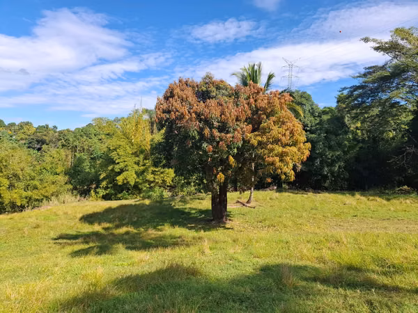 Terreno de 24,025 m² en Ahuachapán, cerca de LaGeo | Potencial turístico