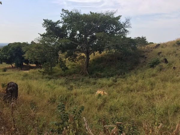 Sell land for San Luis talpa 10,000 blocks