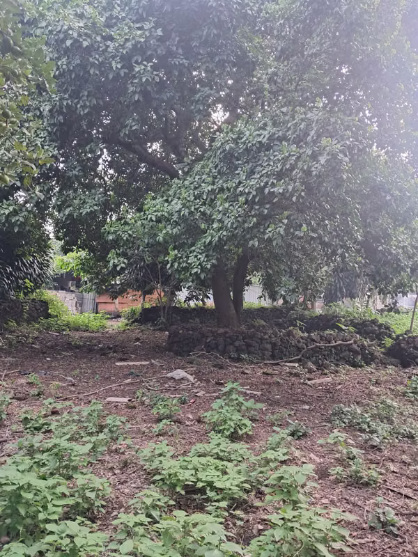 Lot for sale, Izalco Sonsonate