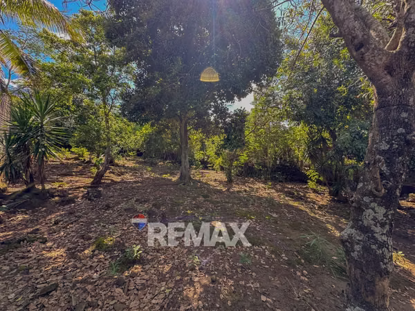 SONSONATE | TERRENO EN VENTA | CANTÓN CHILATA, SAN JULIÁN