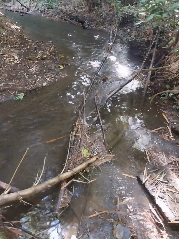VENDO PRECIOSA FINCA EN ZAPOTITAN DE 13 MZ CON RIO