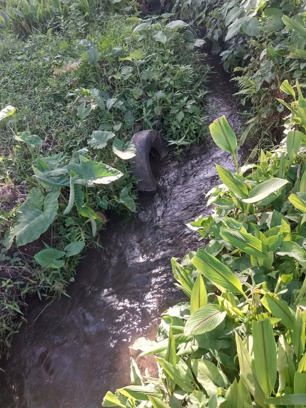 VENDO PRECIOSA FINCA EN ZAPOTITAN DE 13 MZ CON RIO