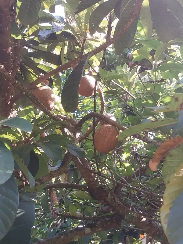 VENDO PRECIOSA FINCA EN ZAPOTITAN DE 13 MZ CON RIO