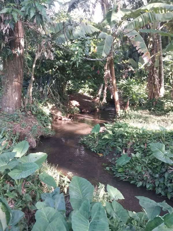 VENDO PRECIOSA FINCA EN ZAPOTITAN DE 13 MZ CON RIO