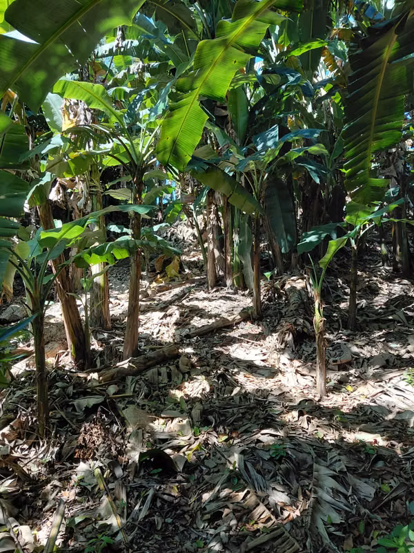 Terrenos en venta - Candelaria, Cuscatlán