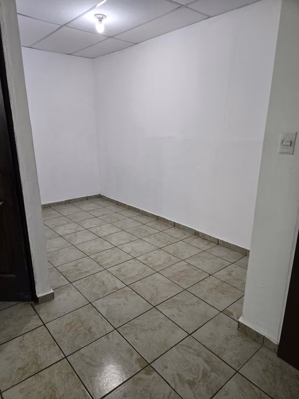 nice apartment in rent