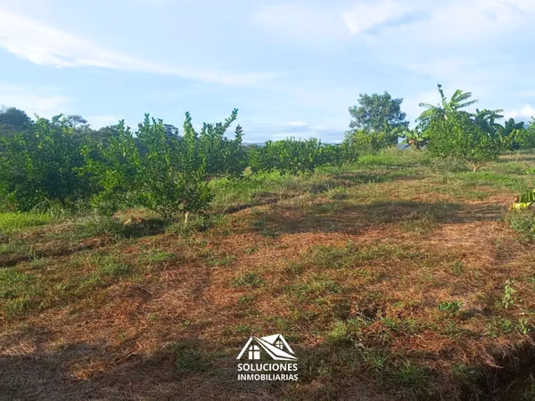 SE VENDE TERRENO EN CANTÓN EL ZARZAL, GUAYMANGO, AHUACHAPÁN.