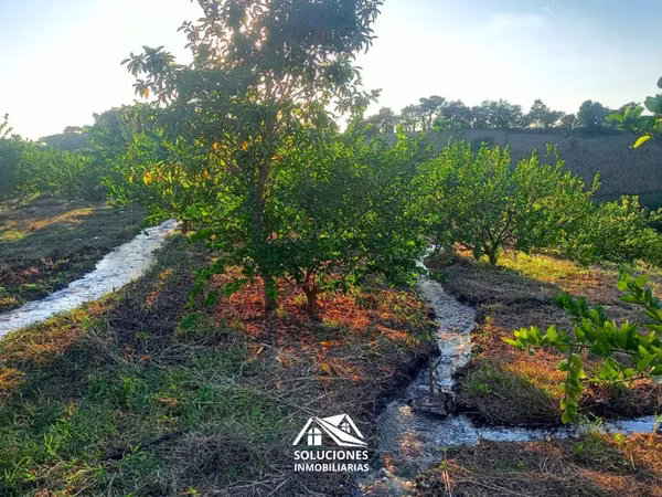 SE VENDE TERRENO EN CANTÓN EL ZARZAL, GUAYMANGO, AHUACHAPÁN.