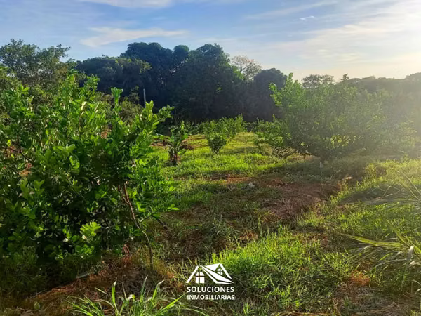 SE VENDE TERRENO EN CANTÓN EL ZARZAL, GUAYMANGO, AHUACHAPÁN.