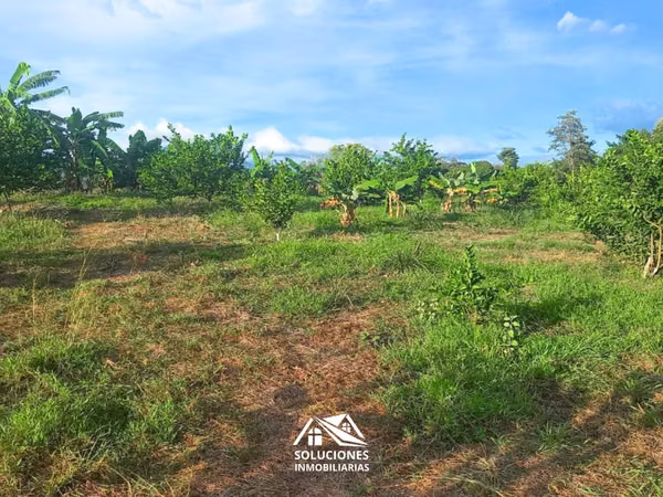 LAND IS SOLD IN CANTON THE ZARZAL, GUAYMANGO, HUACHAPAN.