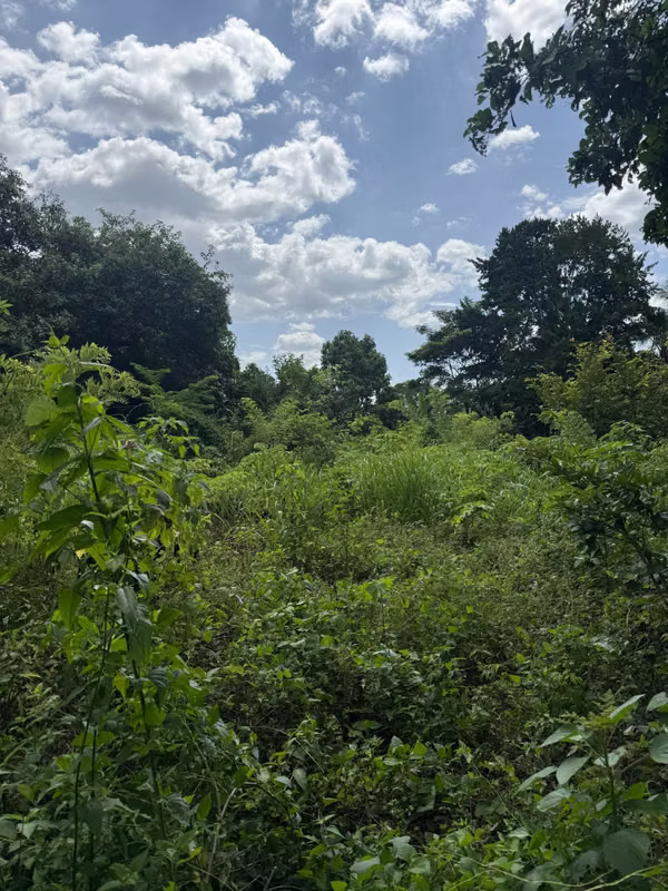 FLAT GROUND FOR SALE - 7.6 BLOCKS IN SANTAGO NONUALCO (VIA THE HORSESHOE)