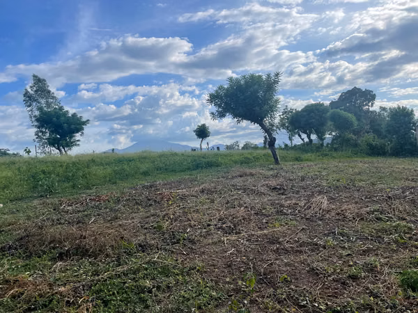 FOR SALE LOW PRICE LAND IN HIGH VALUE AREA IN SANTA ANA ANA