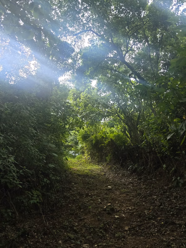 Terreno de 2.8 manzanas en zona de Nuevo Cuscatlan en venta