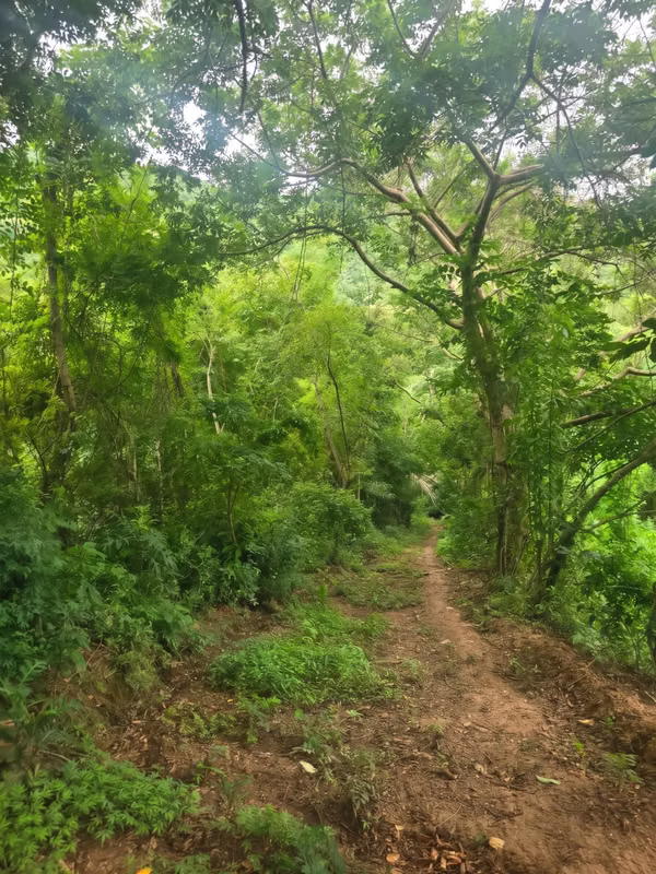 Terreno de 2.8 manzanas en zona de Nuevo Cuscatlan en venta