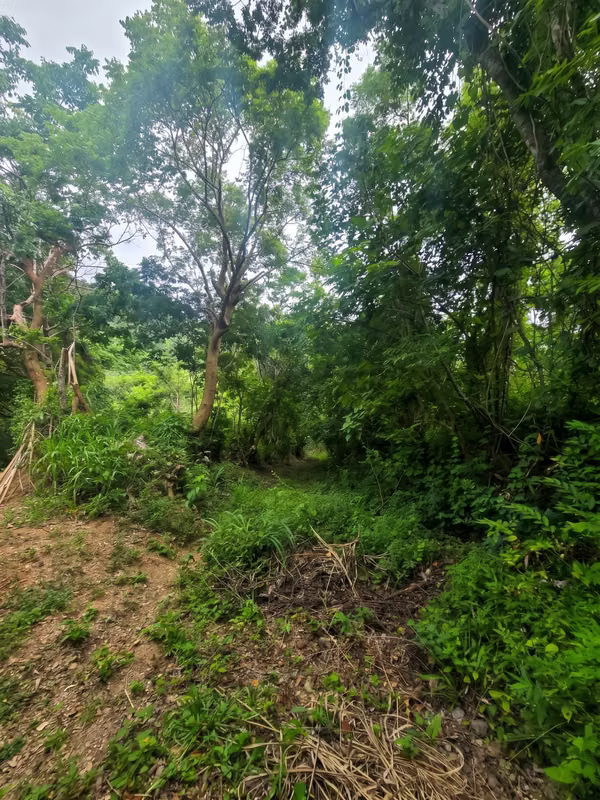 For sale land of 1.2 Apple in Nuevo Cuscatlan