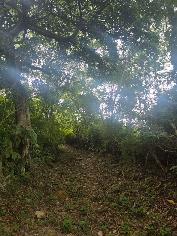 For sale land of 1.2 Apple in Nuevo Cuscatlan