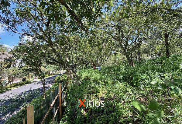 Land Sale in Cologne Escalon