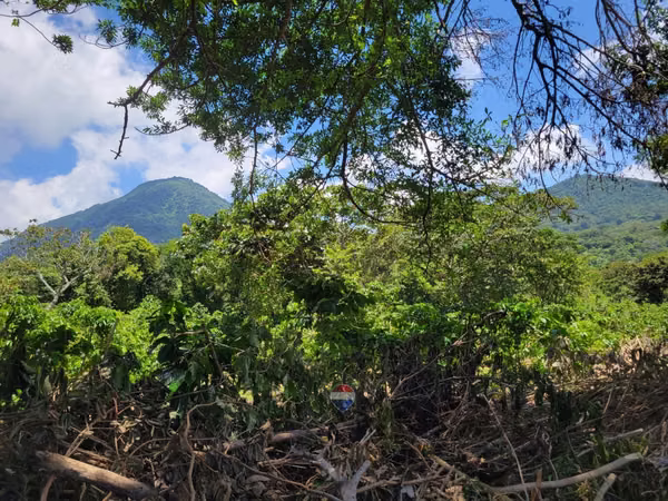 TERRENO EN RUTA DE LAS FLORES, APANECA EN VENTA 938 M2 PROYECTO EXCLUSIVO DESDE $107,000