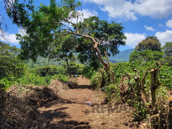 TERRENO EN RUTA DE LAS FLORES, APANECA EN VENTA 938 M2 PROYECTO EXCLUSIVO DESDE $107,000