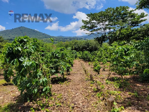 TERRENO EN RUTA DE LAS FLORES, APANECA EN VENTA 938 M2 PROYECTO EXCLUSIVO DESDE $107,000