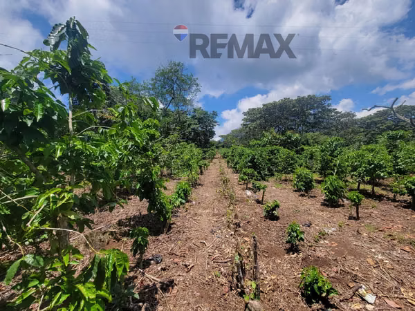TERRENO EN RUTA DE LAS FLORES, APANECA EN VENTA 938 M2 PROYECTO EXCLUSIVO DESDE $107,000