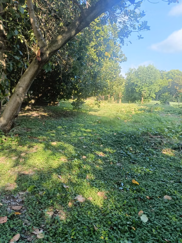 Land for Sale, for home, ranch ready to build