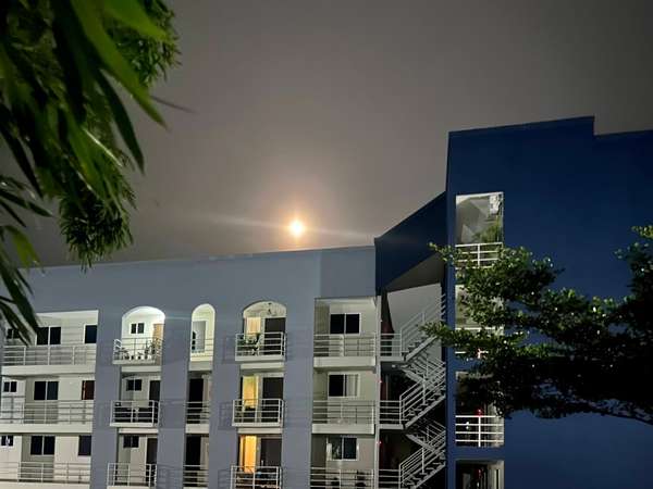 APARTMENT FOR SALE WALNUTS 3 ROOMS