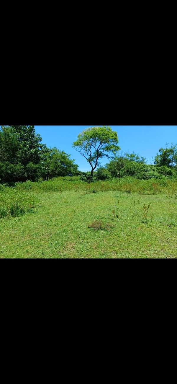 Vendo dos lotes con derecho de agua y acceso a energía eléctrica 