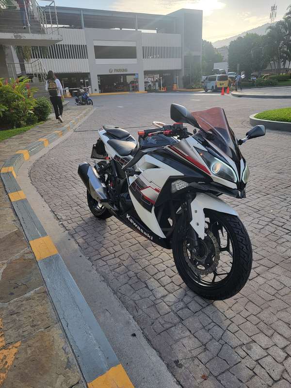 Kawasaki 300
