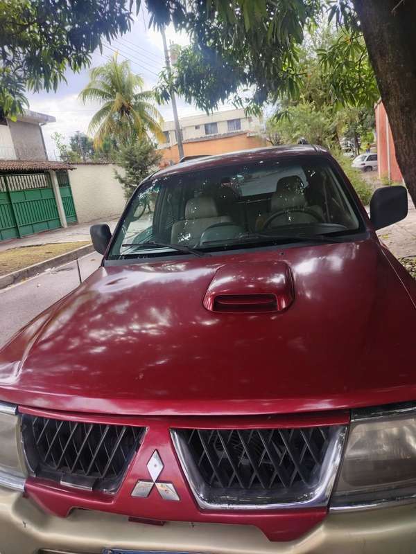 Se vende hermosa nativa 