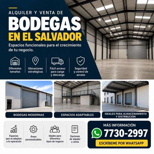 Bodega 
