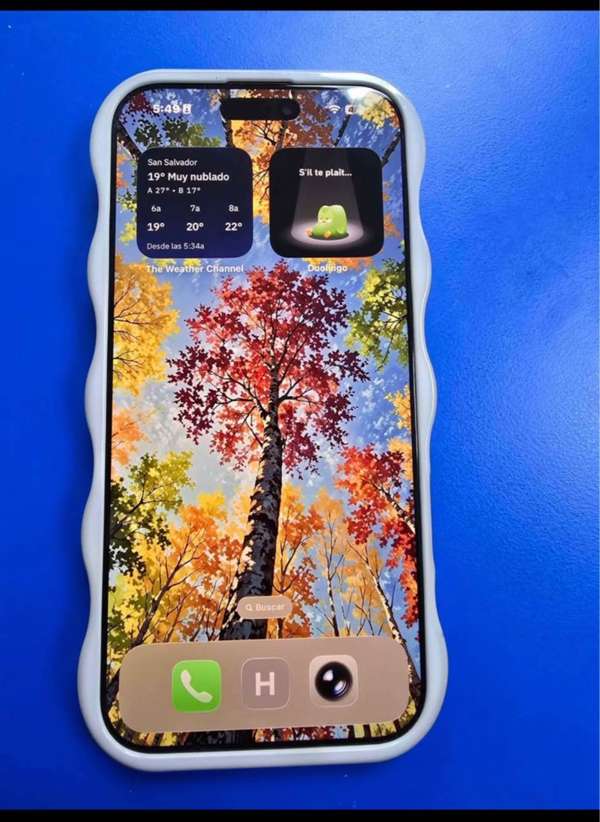  ¡VENDO iPHONE 16 PRO MAX 256 GB! 