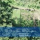 PROPIEDAD EN VENTA PARA QUINTA SAN RAMÓN ALAJUELA CÓD JV384