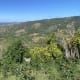 BEAUTIFUL 13.45 ACRES PROPERTY IN ATENAS! WITH UNBELIEVABLE VIEW!!