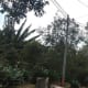Terreno de 7338 mts2 en venta en Santa Rosalía