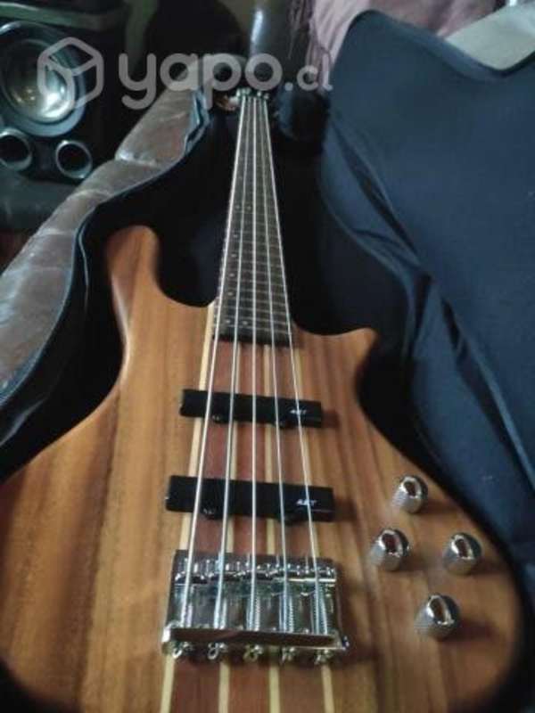 Washburn taurus t25 on sale