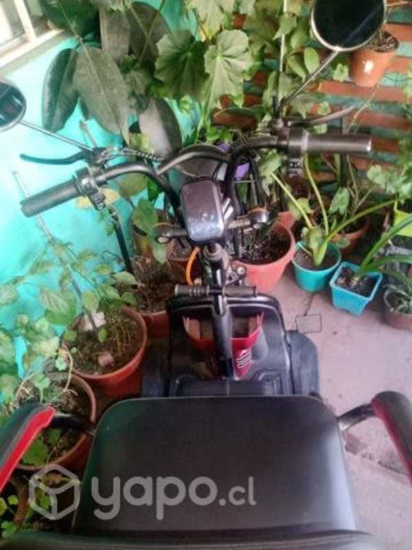 Triciclo electrico yapo outlet