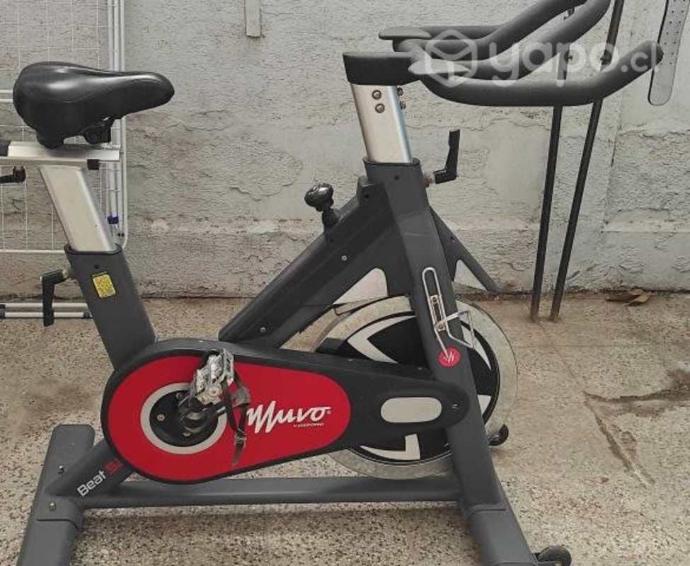 Muvo Beat 36 Bicicleta Spinning Mas Vendida Bicicleta Spinning
