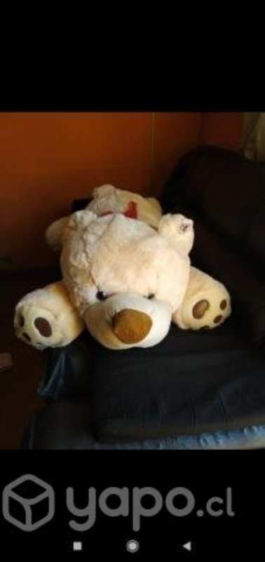 Peluches grandes Talca