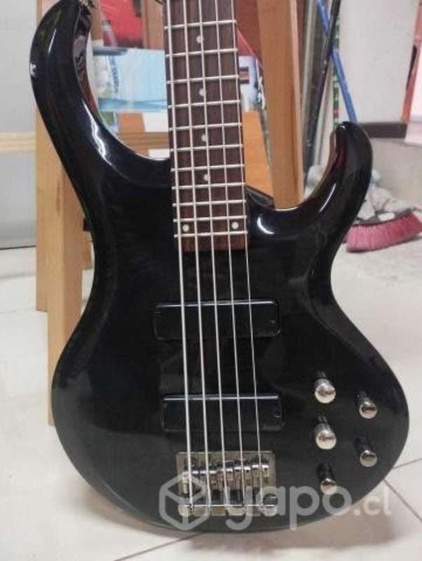 Bajo Ibanez Btb 305 Fm Concepcion