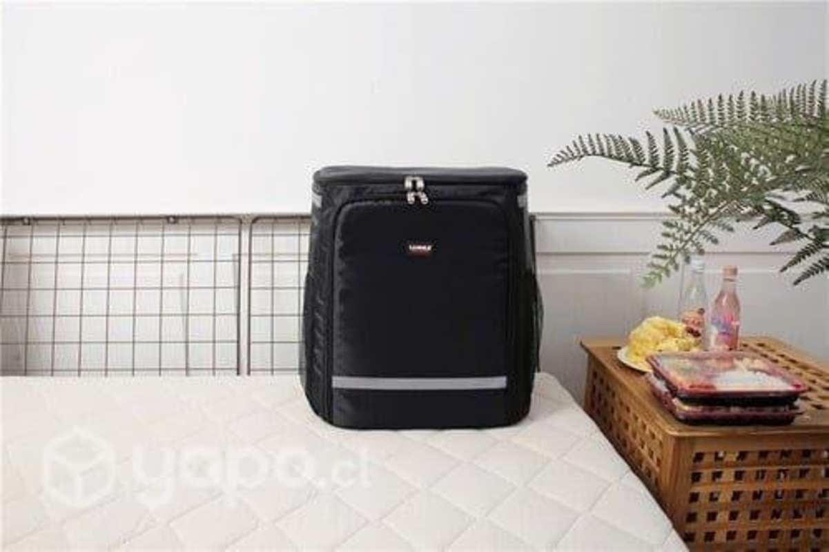Bolso Mochila Termica Delivery Repartidor Moto Bic Santiago