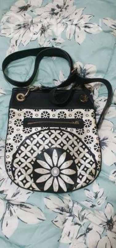 Morral desigual Punta Arenas
